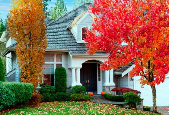 10 fall home improvement ideas and what you need to do them