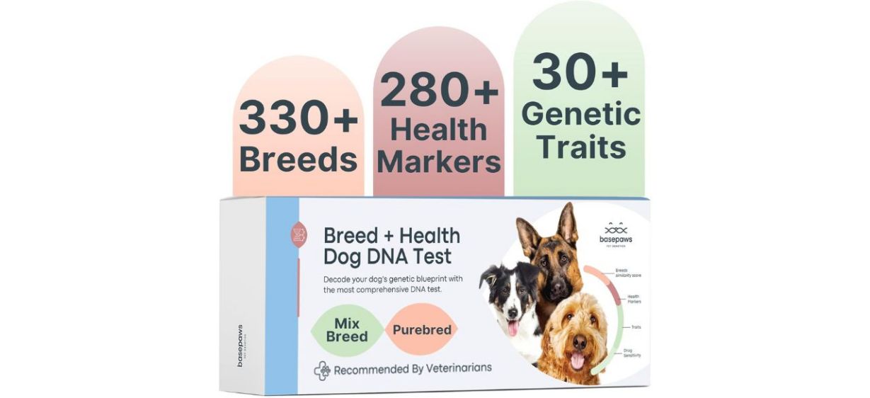 Basepaws Dog DNA Testing Kit on white background Basepaws Dog DNA Testing Kit on white background