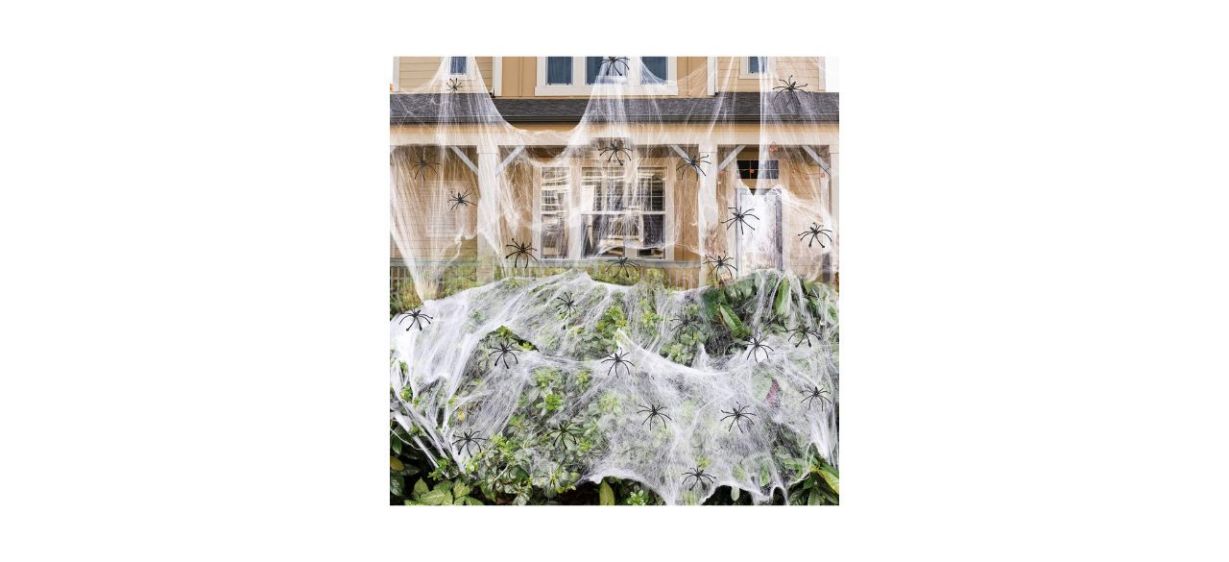 Best ZPISF Spider Webs with Fake Spiders