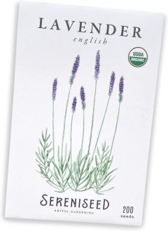 Sereniseed English Lavender Seeds