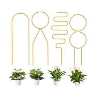 CANIPHA Mini Gold Plant Trellis Set