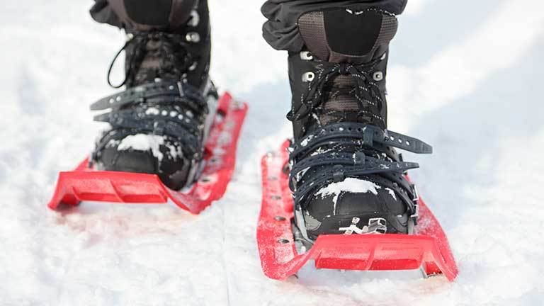 best snowshoes for beginners 2021