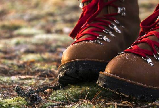 Best Women's Danner Boots