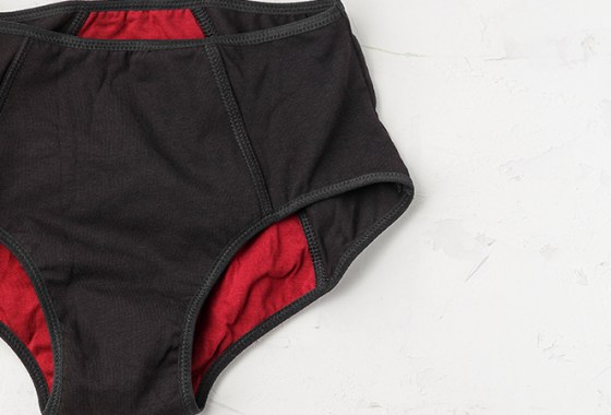 Best Menstrual Underwear