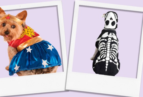 Best Halloween Costumes for Dogs