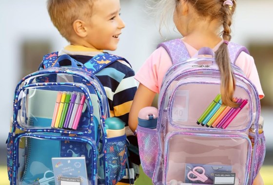Best Clear Backpacks