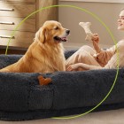 Yes, you absolutely need a human dog bed