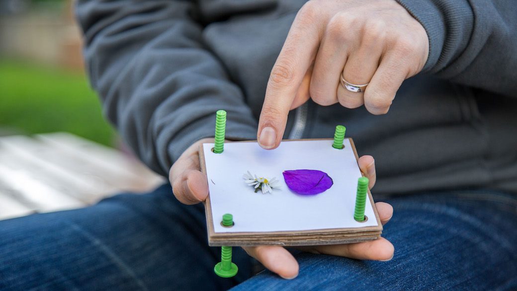 5 Best Flower Press Kits May 2021 BestReviews