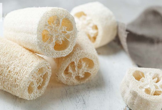 Best bath sponge