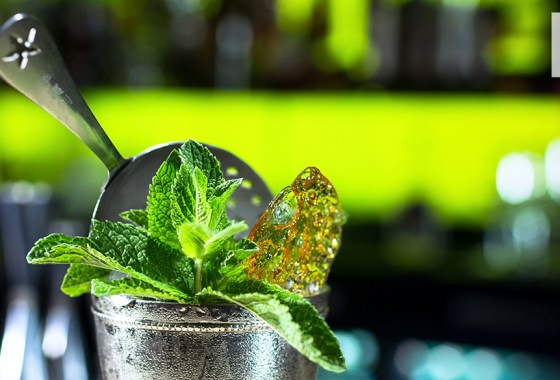 Best julep strainer
