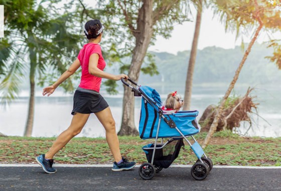 Best high-end dog stroller