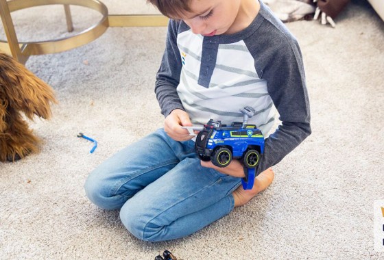 Best PAW Patrol Dino Rescue toy