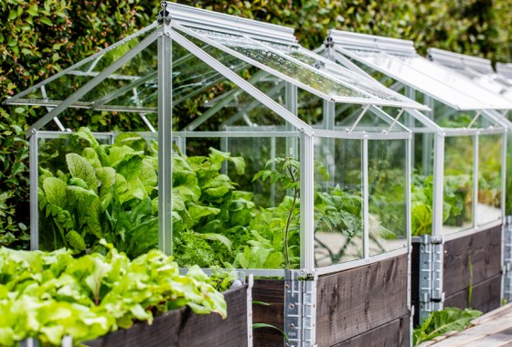 Best raised garden bed with cover