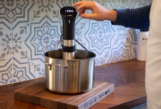Anova sous vide review