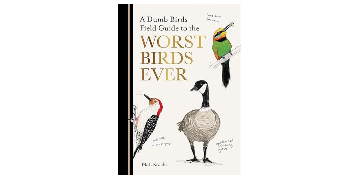 "A Dumb Birds Field Guide to the Worst Birds Ever" by Matt Kracht