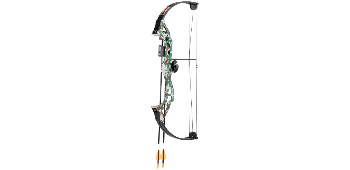 Bear Archery Brave Bow Set