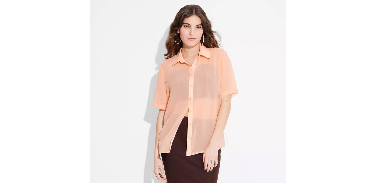 Wild Fable Short Sleeve Oversized Sheer Button-Down Shirt