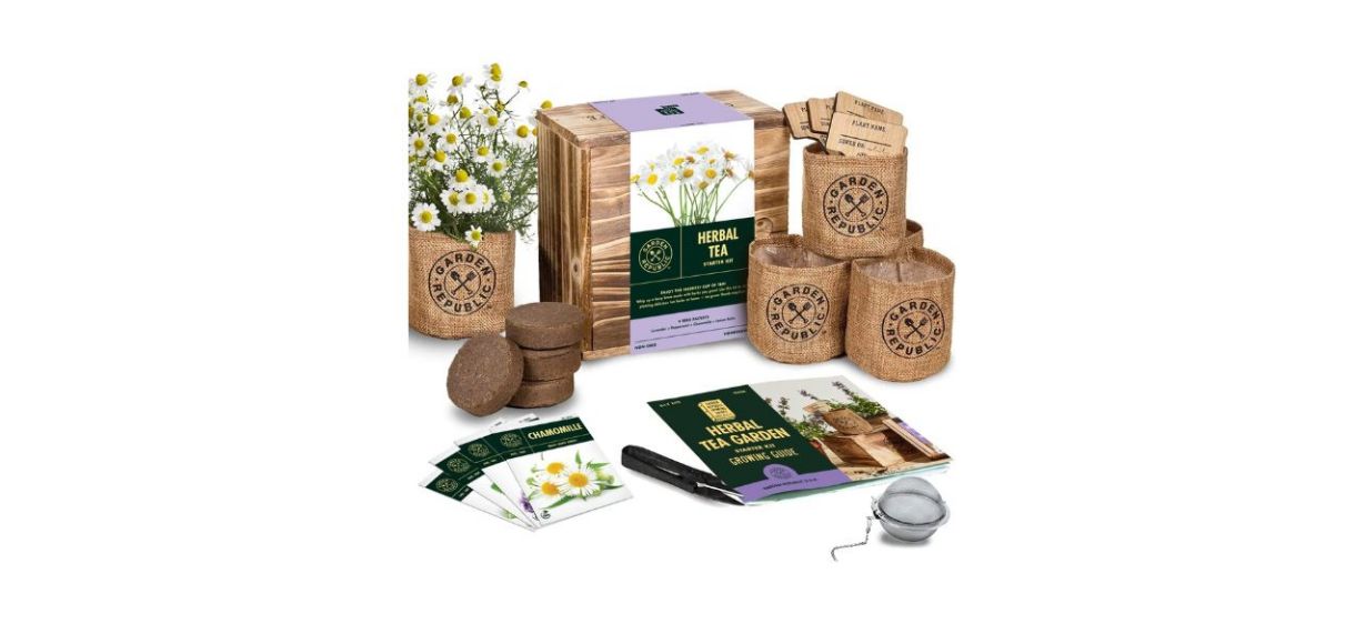 Best Garden Republic Indoor Herb Garden Seed Starter Kit