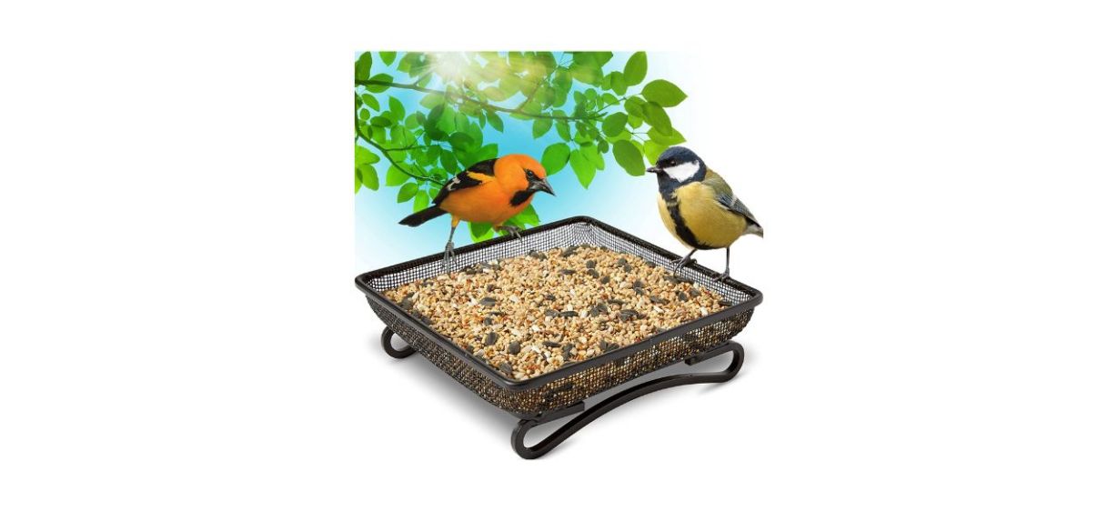 Best Gray Bunny Ground Bird Feeder Tray