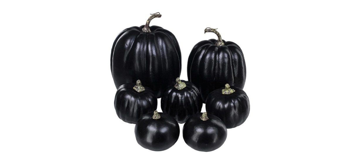 Best Winlyn Pumpkin Set