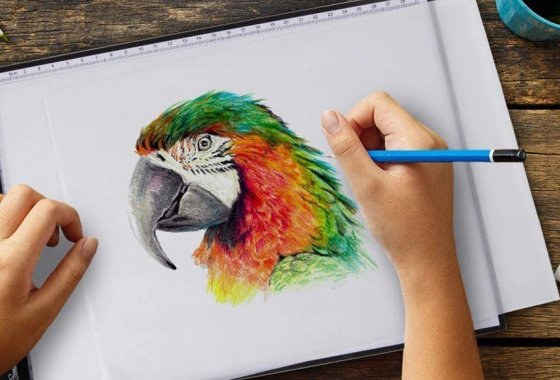 Best light box tracer