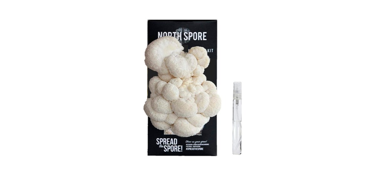 Best North Spore Lions Mane Mushroom Spray &amp; Grow Kit
