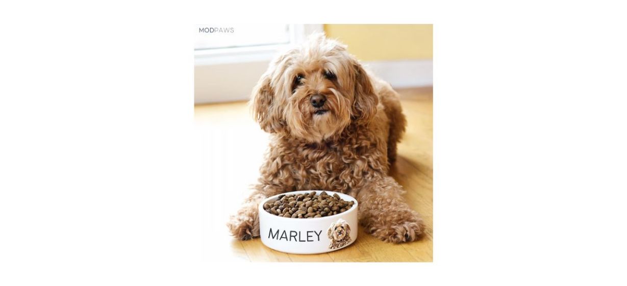a dog sitting next to a food bowl that says &quot;Marley&quot; on it with a picture of the dog's face also on the bowl