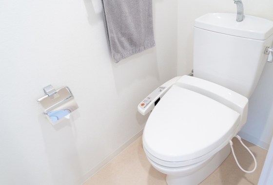 Bio bidet vs. Tushy bidet