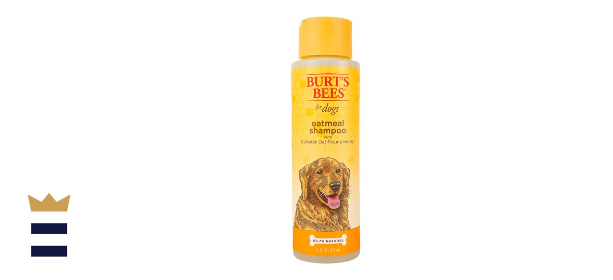 Burt's Bees Oatmeal Shampoo with Colloidal Oat Flour &amp; Honey