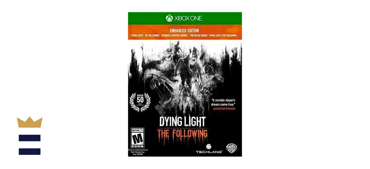 Dying Light: The Following
