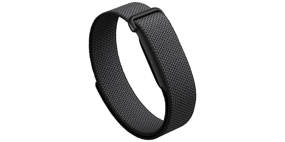 Google Fitbit Air