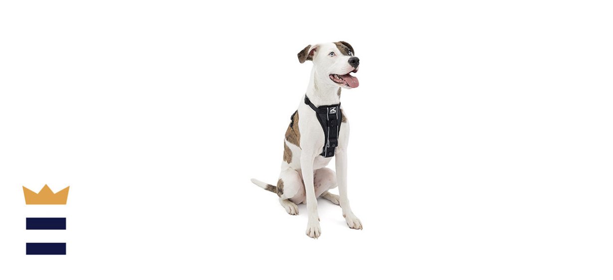 Kurgo Tru-Fit Smart Dog Harness
