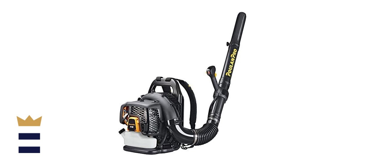 Poulan Pro PR48BT Backpack Leaf Blower 