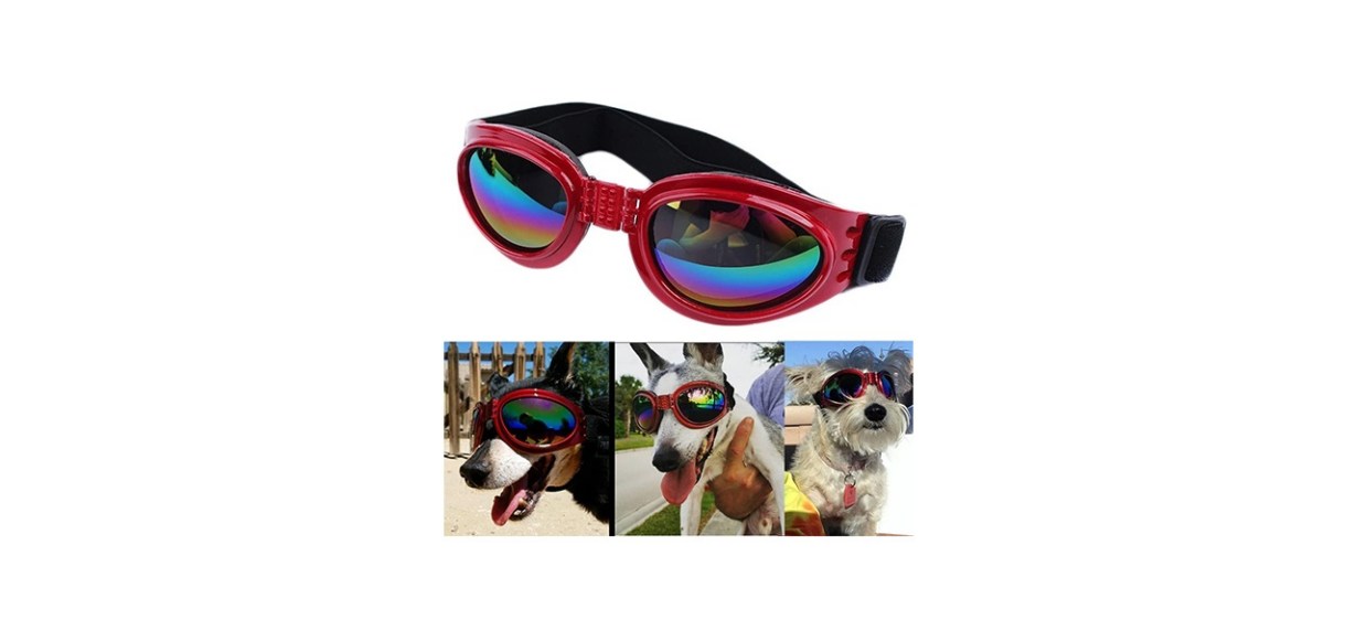 QUMY Dog Goggles