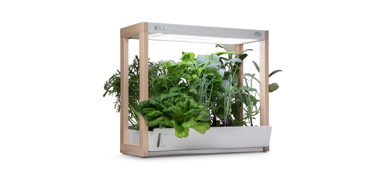 Rise Gardens Personal Garden