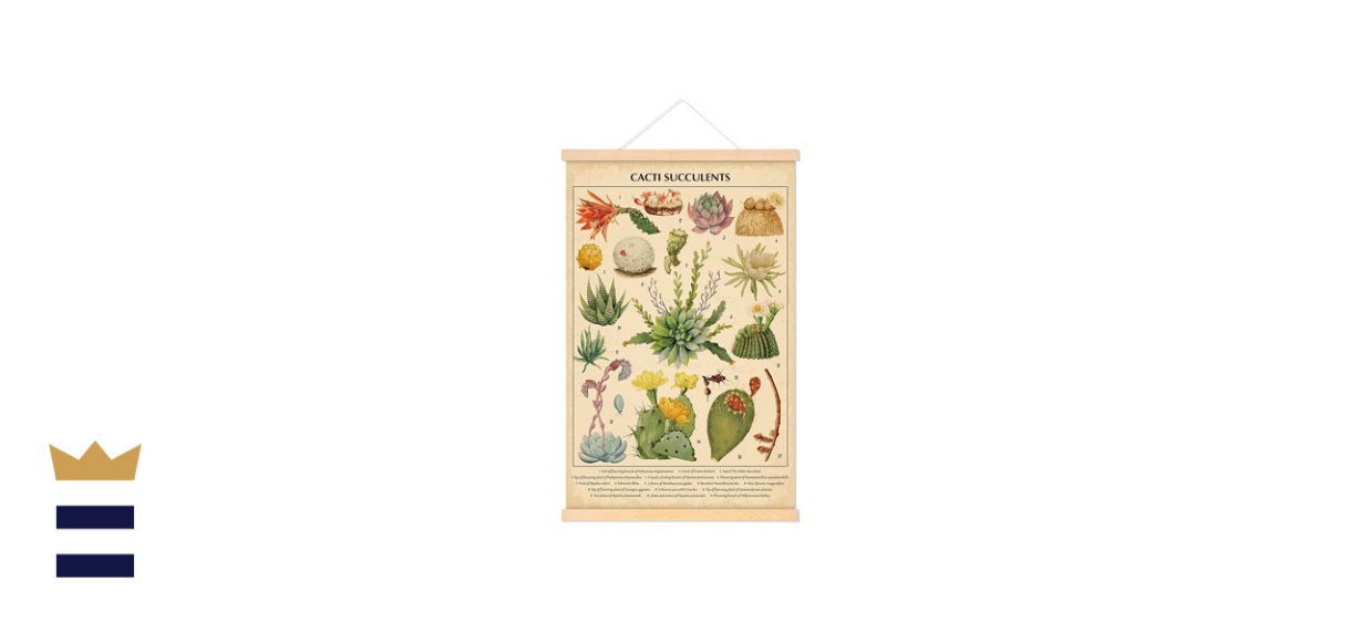 Tatuo Vintage Cacti Succulents Poster