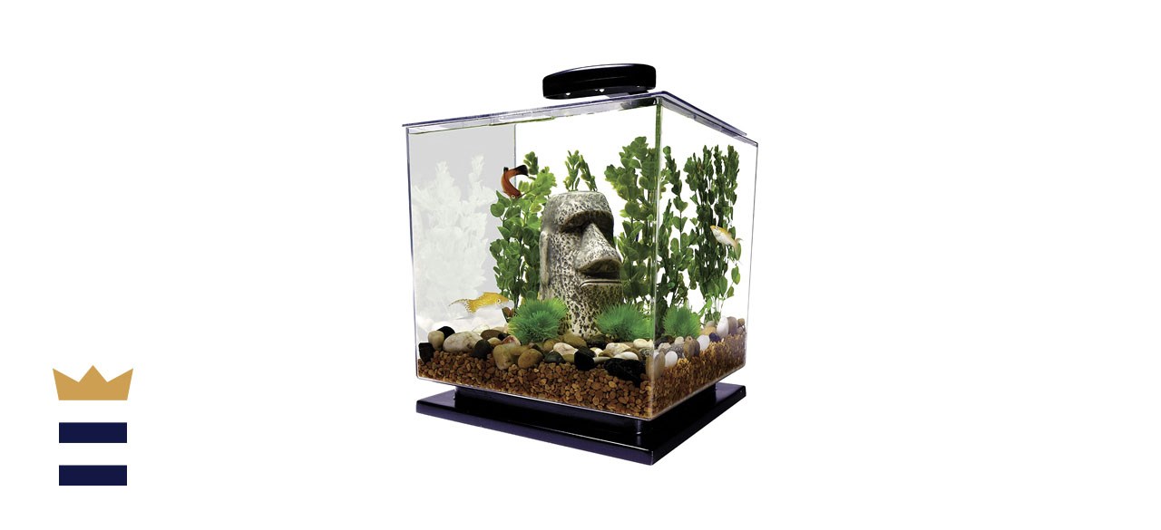 Tetra led cube shaped 3 clearance gallon aquarium with pedestal base