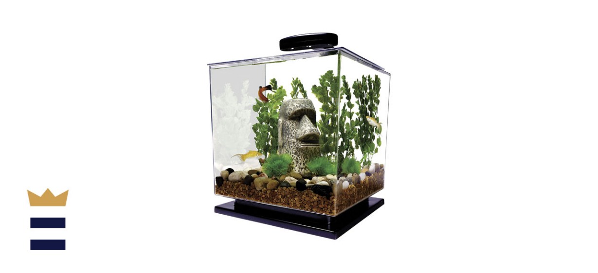Best 3-gallon fish tank