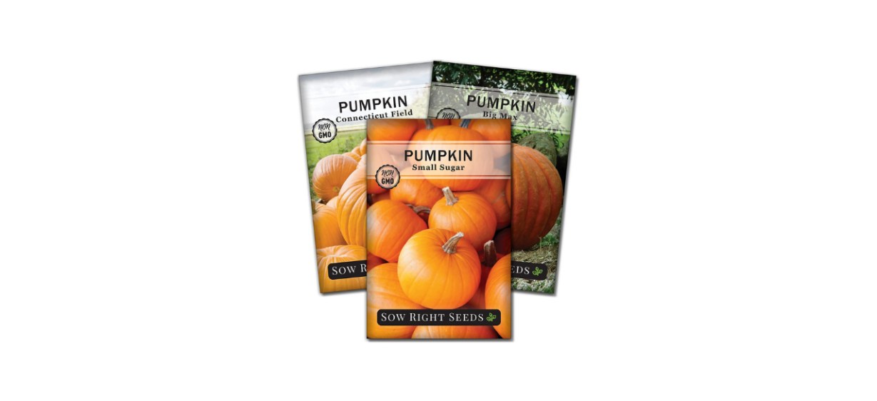 Sow Right Seeds - Pumpkin Seed Collection for Planting