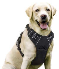 rabbitgoo No-Pull Adjustable Dog Harness