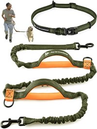 Pet Dreamland Hands-Free Leash