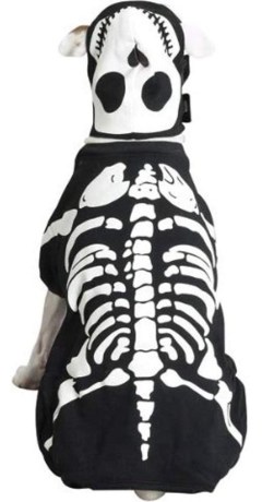 Casual Canine Glow Bones Dog Skeleton Pet Costume