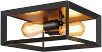 TOBUSA 2-Light Flush Mount Ceiling Light Fixture