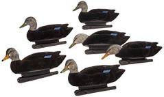 Avian-X Black Duck Decoy 6-Pack