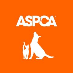 ASPCA Pet Insurance