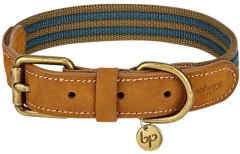 Blueberry Pet Leather Dog Collar