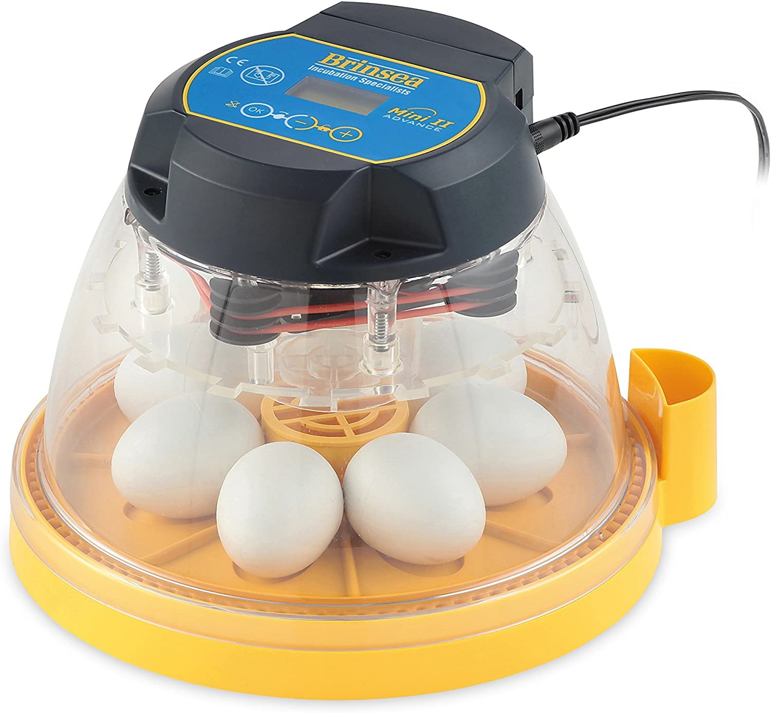 Brinsea Mini II Advance Automatic 7-Egg Incubator