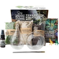 Cute Farms Terrarium Starter Kit