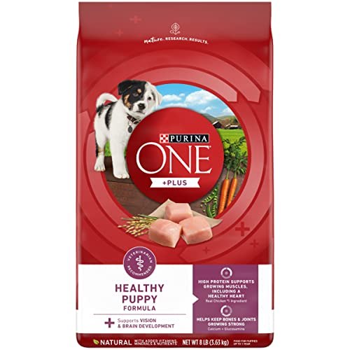 Purina ONE SmartBlend Healthy Puppy Formula