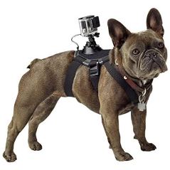 GoPro Fetch Dog Harness